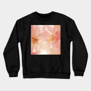 Hopeful Crewneck Sweatshirt